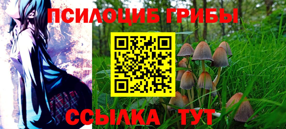 Псилоцибиновые грибы Magic Shrooms  Галлюциногенные грибы Cubensis  Ступино  Вход с VPN 